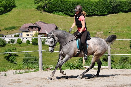 Intensivtage im Emmental